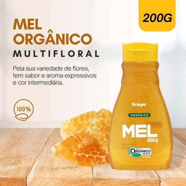 Mel orgânico multifloral breyer - 200g Imagem de Mel orgânico multifloral breyer - 200g