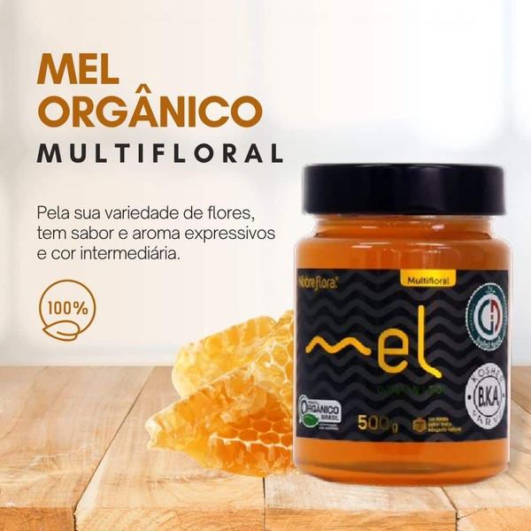 Imagem de Mel orgânico multifloral nobreflora - 500g