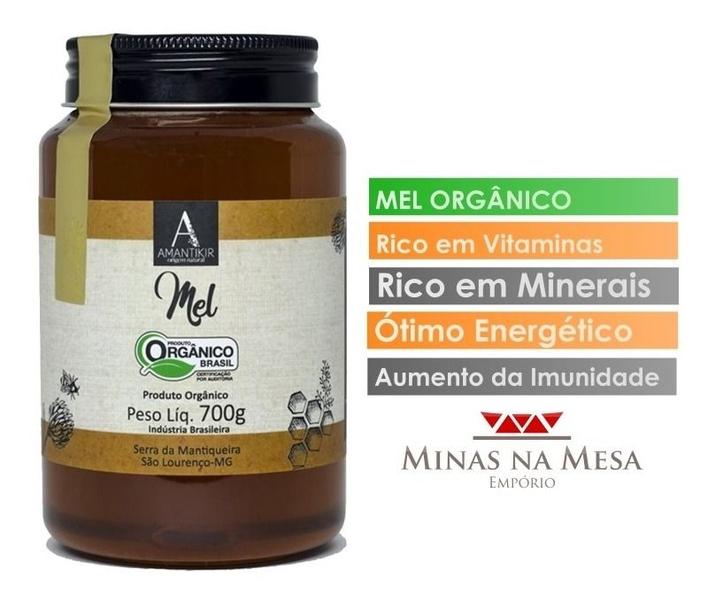 Imagem de Mel Orgânico Puro De Abelha 700g Silvestre - Amantikir Minas