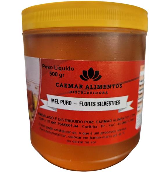 Imagem de Mel Puro 100% Natural sem Conservantes 500 gr - Flores Silvestres