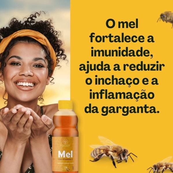 Imagem de Mel Puro Com Vitamina C Natural Multyflora 1Kg