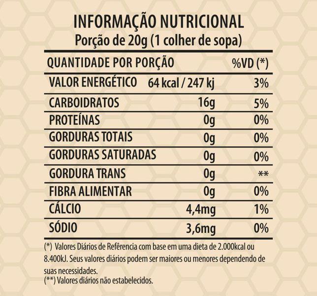 Imagem de Mel Puro de Laranjeira Bisnaga 1,1kg - SV - Apisnutri