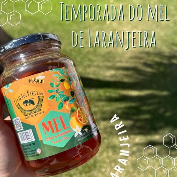 Imagem de Mel Puro Flores Laranjeiras 450g Dona Beia Florada Laranjeira 100% Natural