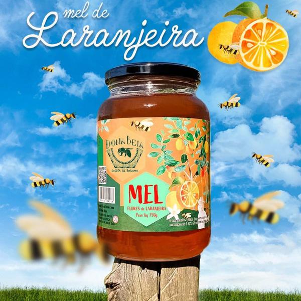 Mel Puro Flores Laranjeiras 750g Dona Beia Florada Laranjeira 100% Natural Imagem de Mel Puro Flores Laranjeiras 750g Dona Beia Florada Laranjeira 100% Natural