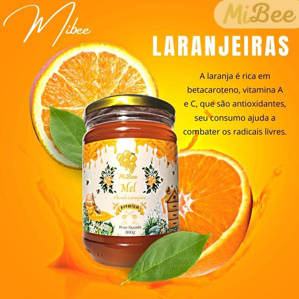 Mel Puro Premium Mibee - Florada Cipó-Uva 800g Imagem de Mel Puro Premium Mibee - Florada Cipó-Uva 800g