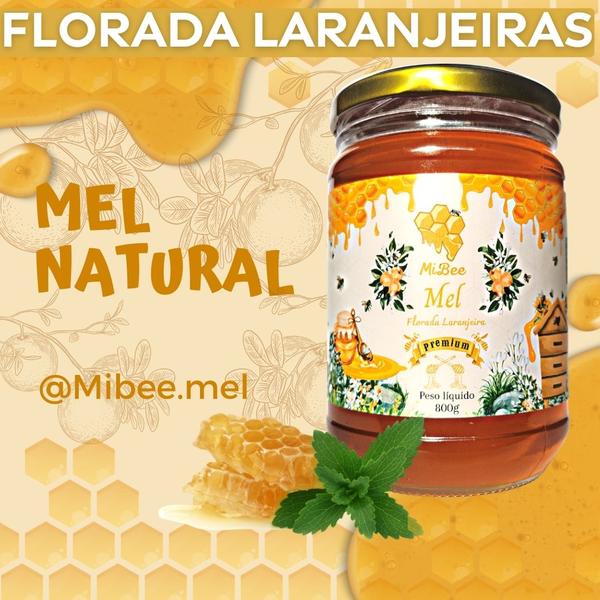 Mel Puro Premium Mibee - Florada Cipó-Uva 800g Imagem de Mel Puro Premium Mibee - Florada Cipó-Uva 800g