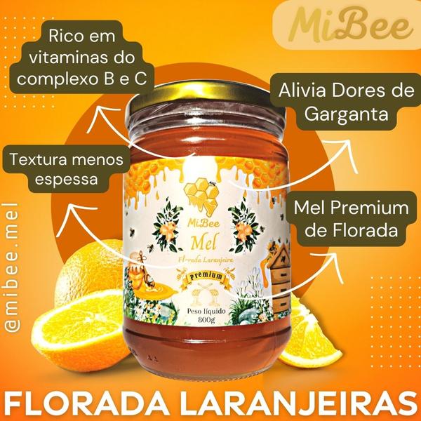 Mel Puro Premium Mibee - Florada Cipó-Uva 800g Imagem de Mel Puro Premium Mibee - Florada Cipó-Uva 800g