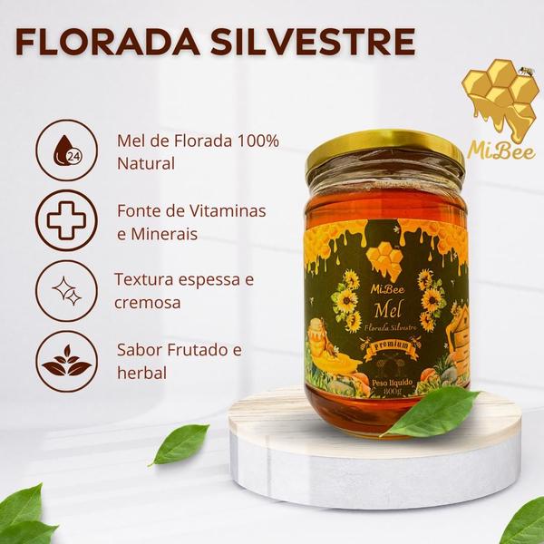 Mel Puro Premium Mibee - Florada Cipó-Uva 800g Imagem de Mel Puro Premium Mibee - Florada Cipó-Uva 800g