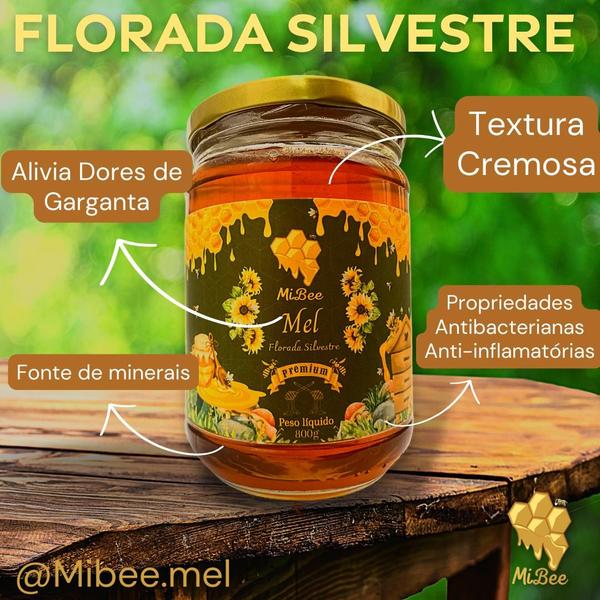 Mel Puro Premium Mibee - Florada Cipó-Uva 800g Imagem de Mel Puro Premium Mibee - Florada Cipó-Uva 800g