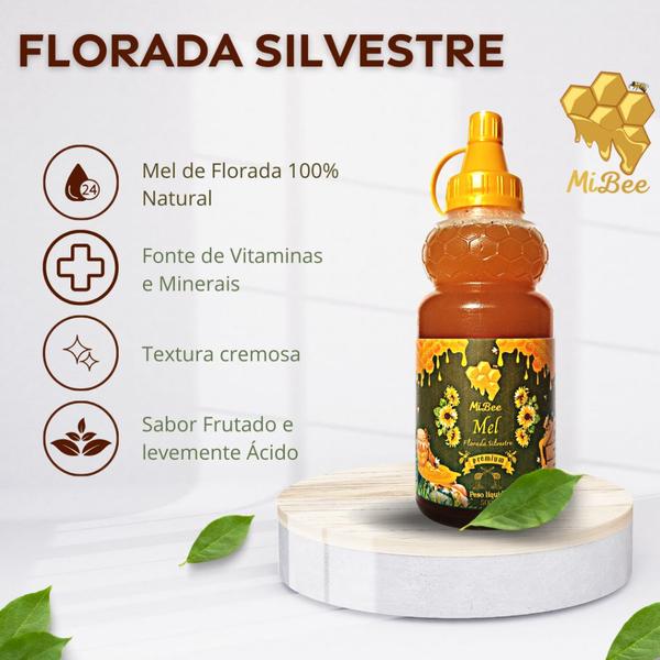 Imagem de Mel Puro Premium  Mibee - Florada Silvestre 500g