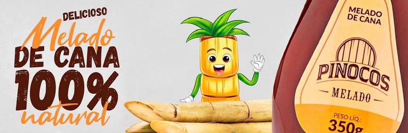 Melado de Cana Pinoco's Artesanal 350g. - PINOCO'S CANA Imagem de Melado de Cana Pinoco's Artesanal 350g.
