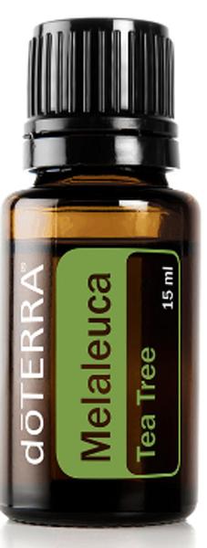 Imagem de Melaleuca - Tea Tree doTerra