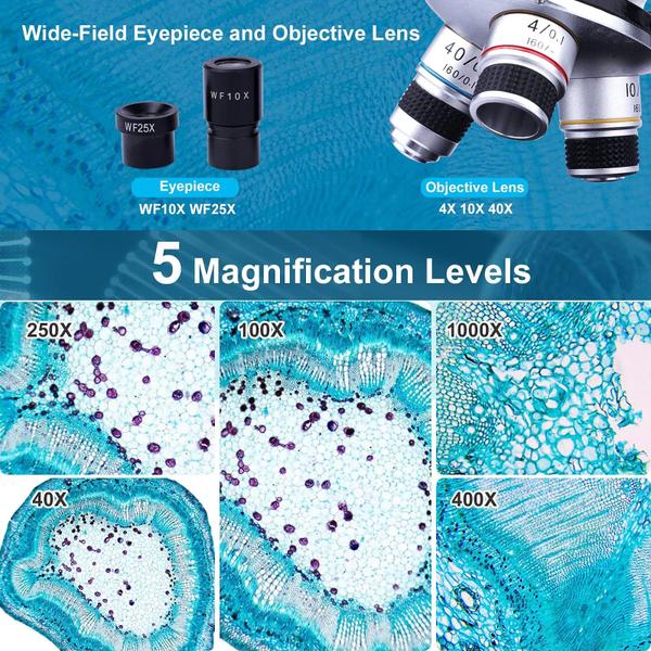 Imagem de Microscópio binocular LAKWAR 40X-1000X para adultos com lâminas