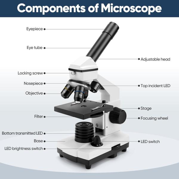 Imagem de Microscópio Dcorn 100X-2000X Powerful Biological com lâminas