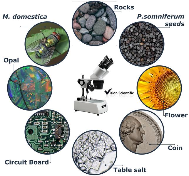 Imagem de Microscópio estereoscópico binocular Vision Scientific VMS0002-LD-24-ES2