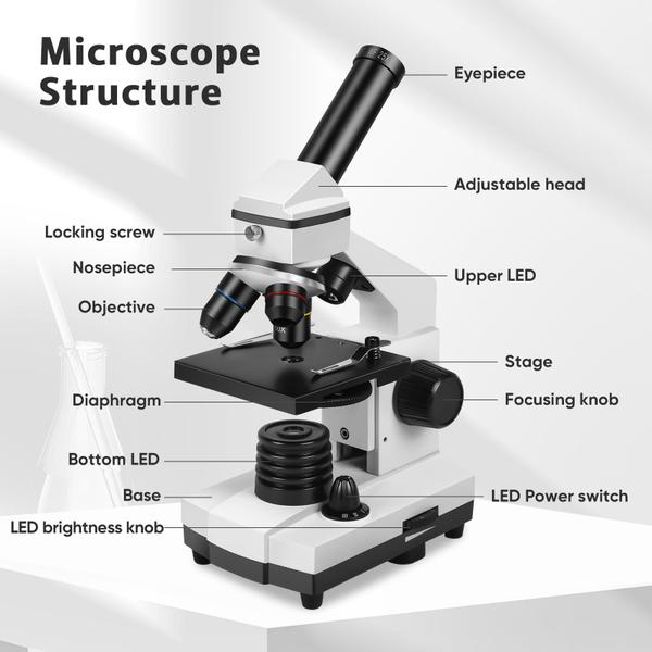 Imagem de Microscópio PALOBIL Professional Compound 100X-2000X com lâminas