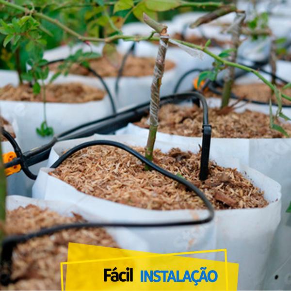 Imagem de Microtubo Mangueira Pvc Irrigação 5x7 mm Rolo 100m