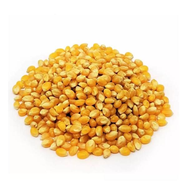 Milho De Pipoca 500G Grão Alta Qualidade Armém - Armazém Real Imagem de Milho De Pipoca 500G Grão Alta Qualidade Armém