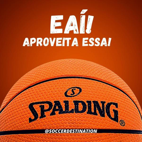 Imagem de Mini Bola Basquete Laranja Spalding Spaldeen Envio Imediato