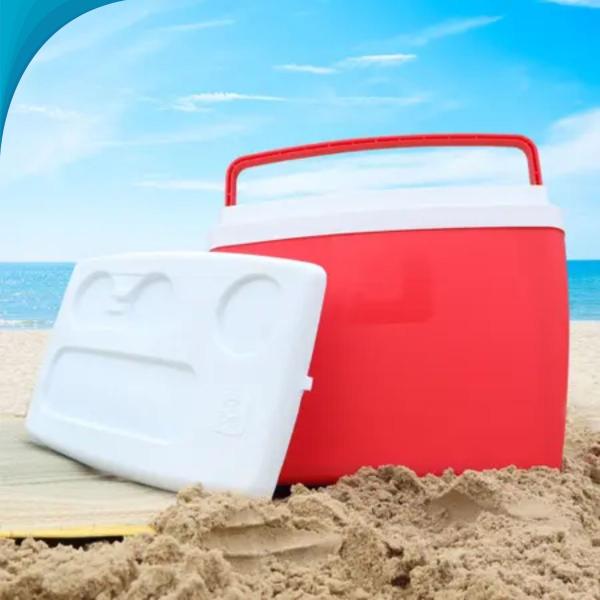 Imagem de Mini Cooler Leve Para Praia E Churrasco Com Alça Pronta Entrega