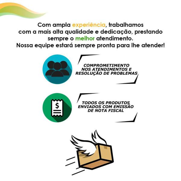 Mini Liquidifcador USB Portátil Individual Sucos Vitaminas - Lelong Imagem de Mini Liquidifcador USB Portátil Individual Sucos Vitaminas