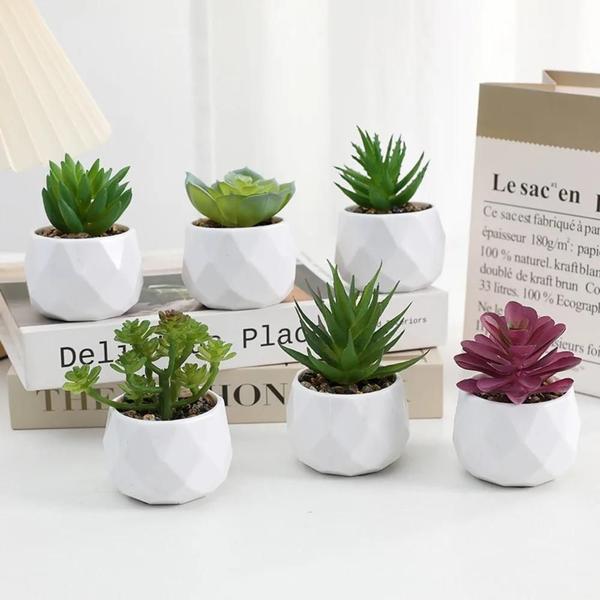 Imagem de Mini Plantas Artificiais de Bonsai, Suculentas e Cactos - Decoração em Plástico