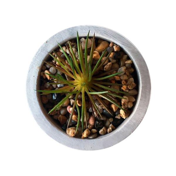 Imagem de Mini Suculenta Planta Vaso Decoração Sala Quarto Banheiro