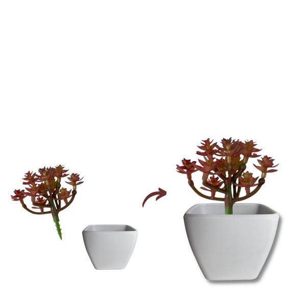 Imagem de Mini Vaso Decorativo Suculenta Cachepot Plástico sem Planta