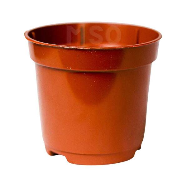 Imagem de Mini vasos Pequenos Coloridos Pote 6 De 80ml Mudas de cactos e suculentas - 200 unidades 