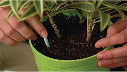 Imagem de Miracle-Gro Indoor Plant Food Spikes, Inclui 48 Picos - Alimentação Contínua para todas as Plantas De Floração e Folhagem - NPK 6-12-6, 12 Pacotes de 48 Espigões