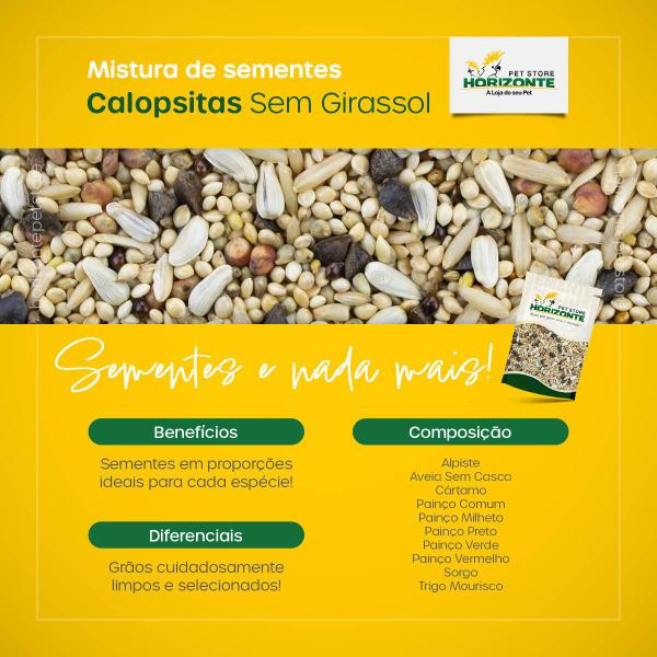 Mistura Calopsita Sem Girassol 10kg Mix Sementes Limpas Criador - Horizonte Imagem de Mistura Calopsita Sem Girassol 10kg Mix Sementes Limpas Criador