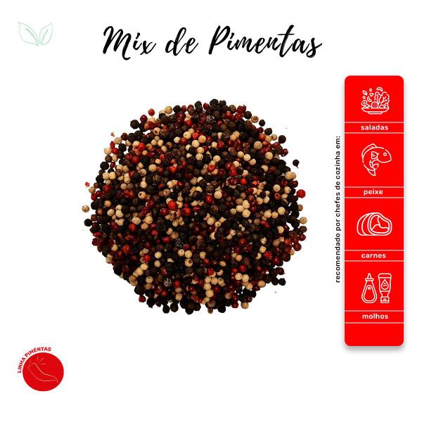 Mix De Pimentas Em Grãos Premium Qualidade Superior Pouch 50g - Rocha Saúde Imagem de Mix De Pimentas Em Grãos Premium Qualidade Superior Pouch 50g