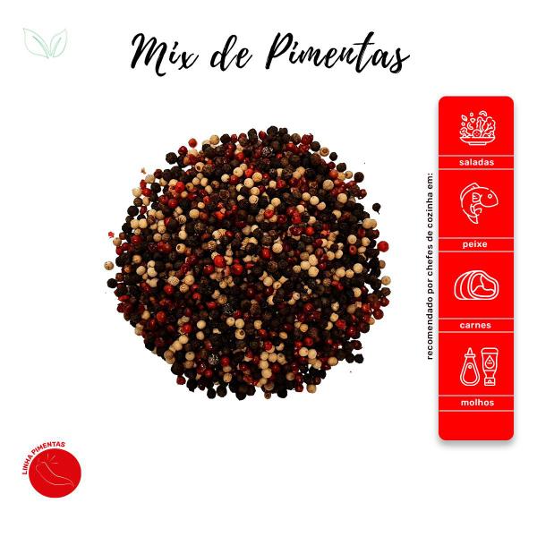 Imagem de Mix De Pimentas Gourmet Selecionadas Em Grãos Qualidade Superior Pouch 50g