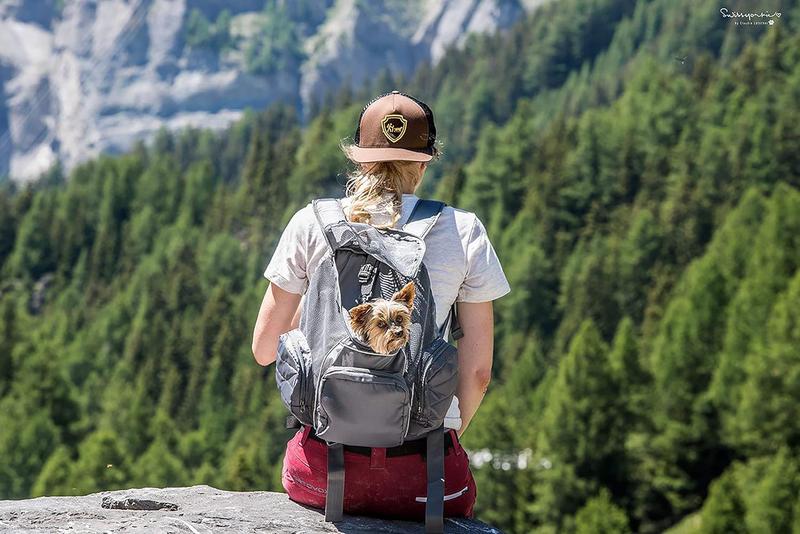 Imagem de Mochila De Transporte Poochpouch OutwardHound Para Cães e Gatos