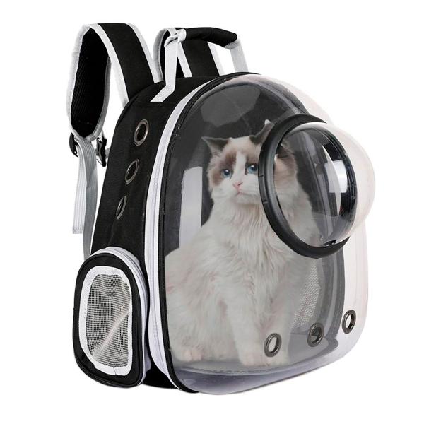 Mochila Pet Transparente Com Ventilação E Segurança - BIVENA Imagem de Mochila Pet Transparente Com Ventilação E Segurança