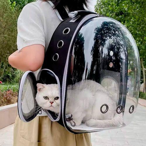 Imagem de Mochila Pet Transparente Macho