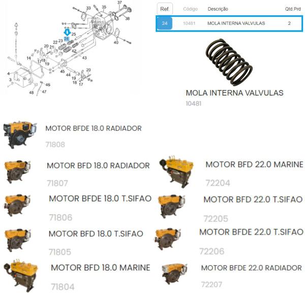 Imagem de Mola Interna da Válvula P/ Motor BFD(E) 18.0cv Termossifão