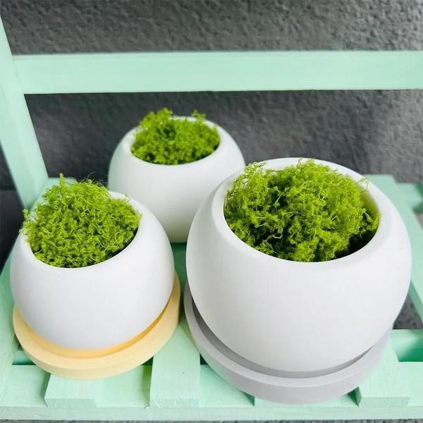 Imagem de Molde de Silicone para Vaso de Plantas Suculentas - Decoração de Mesa em Concreto