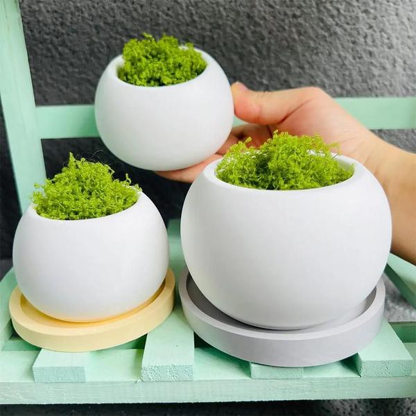 Imagem de Molde de Silicone para Vaso de Plantas Suculentas - Decoração de Mesa em Concreto