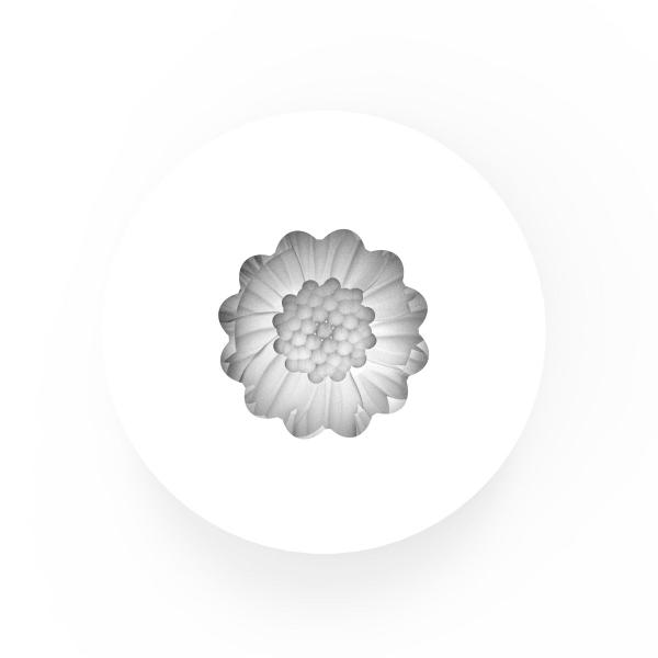 Imagem de Molde Forma de Silicone Formato de Flor Margarida