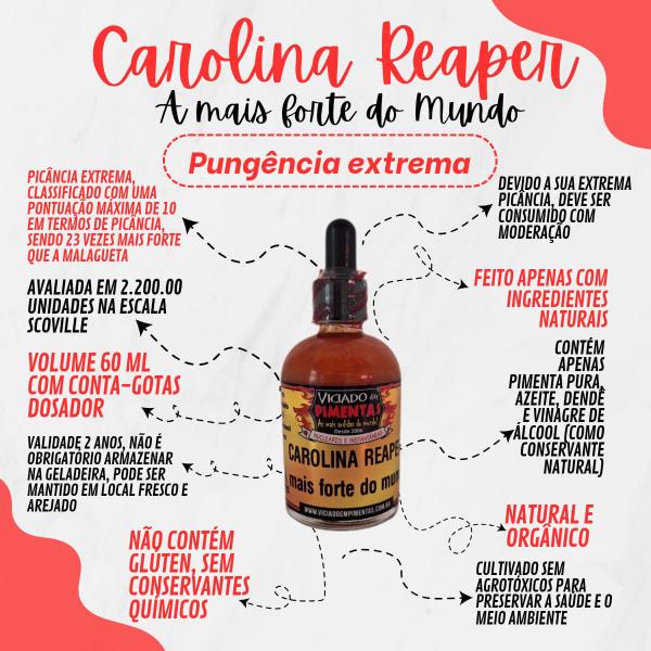Molho De Pimenta Carolina Reaper Com Azeite 60 Ml - VICIADO EM PIMENTAS Imagem de Molho De Pimenta Carolina Reaper Com Azeite 60 Ml