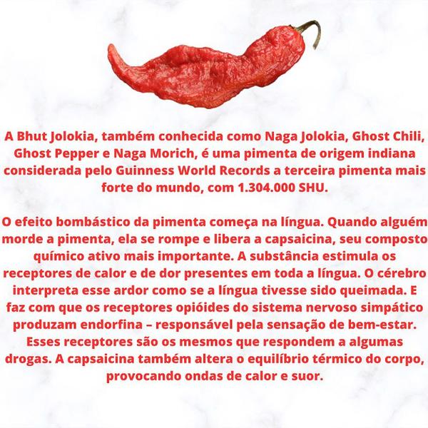 Molho De Pimenta Gourmet Sabor Chutney De Manga - Vidro 100 Ml - VICIADO EM PIMENTAS Imagem de Molho De Pimenta Gourmet Sabor Chutney De Manga - Vidro 100 Ml