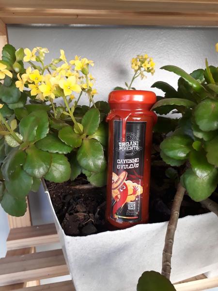 Molho de Pimenta Natural Cayenne e Vulcão 110ml - OrganiPiments Imagem de Molho de Pimenta Natural Cayenne e Vulcão 110ml - OrganiPiments