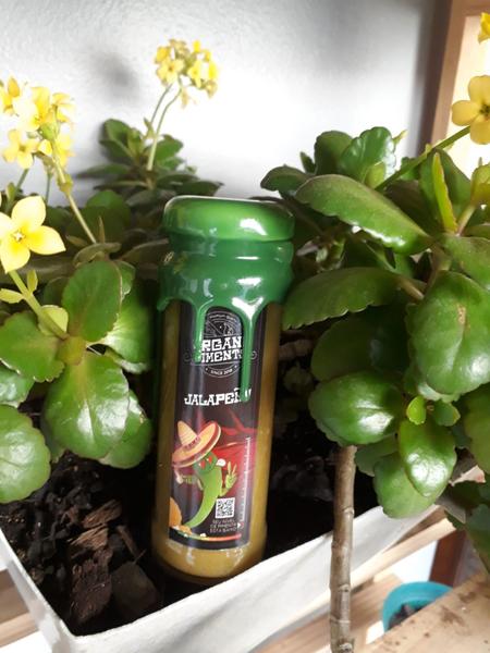 Molho de Pimenta Natural Jalapeño 110ml - OrganiPiments Imagem de Molho de Pimenta Natural Jalapeño 110ml - OrganiPiments