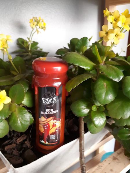 Imagem de Molho de Pimenta Natural Red Habanero 110ml - OrganiPiments