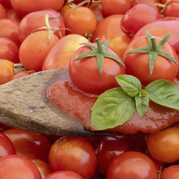 Molho de Tomate e Manjericão Orgânico 330g Sem Conservantes - Sahi Imagem de Molho de Tomate e Manjericão Orgânico 330g Sem Conservantes