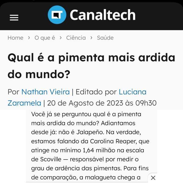 Imagem de Molho Pimenta Cremosa Calabresa Temperada Ardência Moderada Mix 12u Bahia Premium 150ml