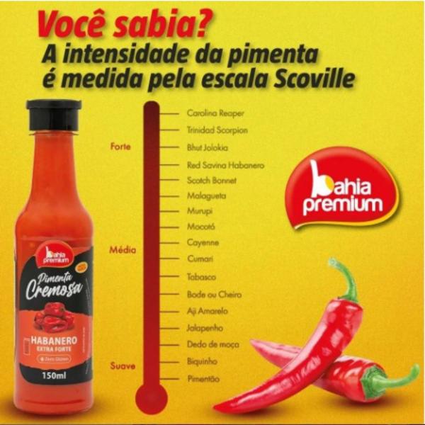 Molho Pimenta Cremosa Calabresa Temperada Ardência Moderada Mix 12u Bahia Premium 150ml Imagem de Molho Pimenta Cremosa Calabresa Temperada Ardência Moderada Mix 12u Bahia Premium 150ml