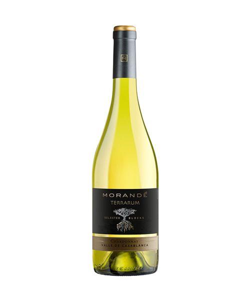 Imagem de Morandé Terrarum Selected Blocks Chardonnay