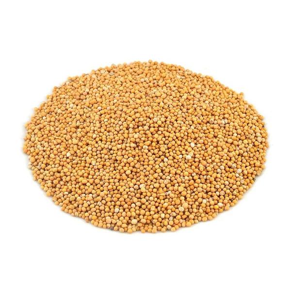 Imagem de Mostarda amarela em grãos